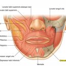 아룸의원 이미지