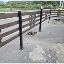 느린 오후가 있는 집 이미지