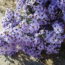 마장1리 이미지