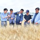 장성수퍼 이미지