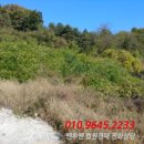 강화읍-13 이미지