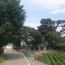 월천1리마을회관 이미지