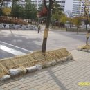 논현주공1단지 이미지