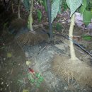 뽑기하우스 이미지