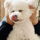 서창사랑동물병원 이미지