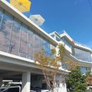 봉암동111 이미지