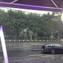 제이피프린팅 | [메이커스유니온스퀘어] 최근 방문했던 카페 중 가장 색다르고, 행복했던 경험을 줬던 곳 (고양이 좋아)