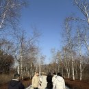 전원말2길 7 | [원주] 뮤지엄 산, 두번째 방문 (팀 워크샵 후기)