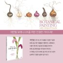 기초 보태니컬아트 기법 이미지