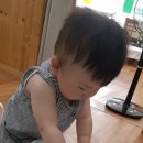 용두수산 이미지