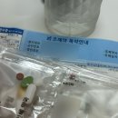 명절은 돼지력이 두 배지요.