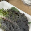 먹보족발 이미지