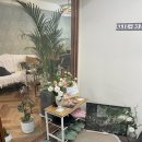네일브와 - 유성구 죽동로297번길 32 | 네일브와