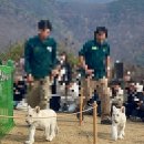 비양길100 | 대구 가볼만한곳 네이처파크 후기 with 아기백사자 루카, 루나