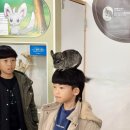 형제조류 | 강릉동물원 애니멀스토리 아이랑 실내체험 솔직후기