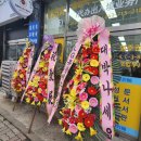 금산행정사 사무소 이미지