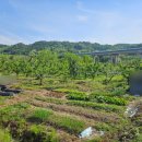 동읍1150 이미지