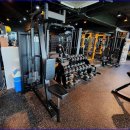 그린핏 코리아 이미지