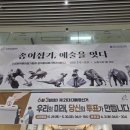 (사)한국종이접기협회 창작종이접기작가 8인展&#34;종이접기, 예술을 잇다&#34;