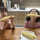 로아의 옥수수🌽 이미지