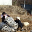 천화농장 이미지