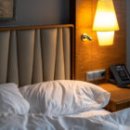 우리땅김치꽃 이미지