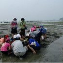 유포체험마을 이미지