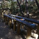 울산약사제방유적전시관 이미지