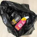 오늘 | 오늘수거후기, 분리수거 안 해도 되는 쓰레기수거 서비스 직접 써본 솔직 리뷰 🚮✨