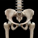 YT 트레이닝센터 이미지