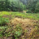 안흥농장 이미지