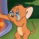 인천중부경찰서공항지구대 이미지