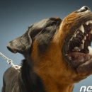 생활법률아카데미 이미지