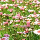 웰니스한의원 이미지