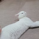 호텔하루 이미지