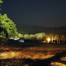 솔밭사이로 이미지