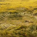 지평농장 이미지