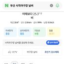잠실 볼팍 챔필 라팍 사직 날씨 찾아봄 이미지