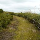 보은 삼년산성 이미지