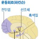 장수-4 이미지