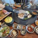 제주몽 - 제주시 | 제주몽