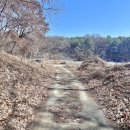 동막동(5) 이미지