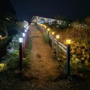 청산도 안단테 | 청산도안단테펜션 지금청산도에서는 봄 감성 가득한 숙박 후기