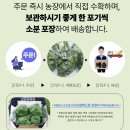 광채농장 이미지