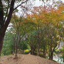 문화산책코스 이미지