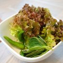 사천오리 네이버블로그