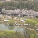 북서울꿈의숲 이미지