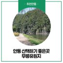 안동백조마을 이미지