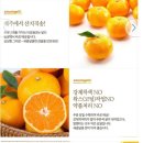 제주나영이네농장