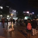 상록수 오마이뉴스